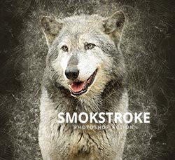 极品PS动作－抽丝艺术(含高清视频教程)：Smokstroke Photoshop Action